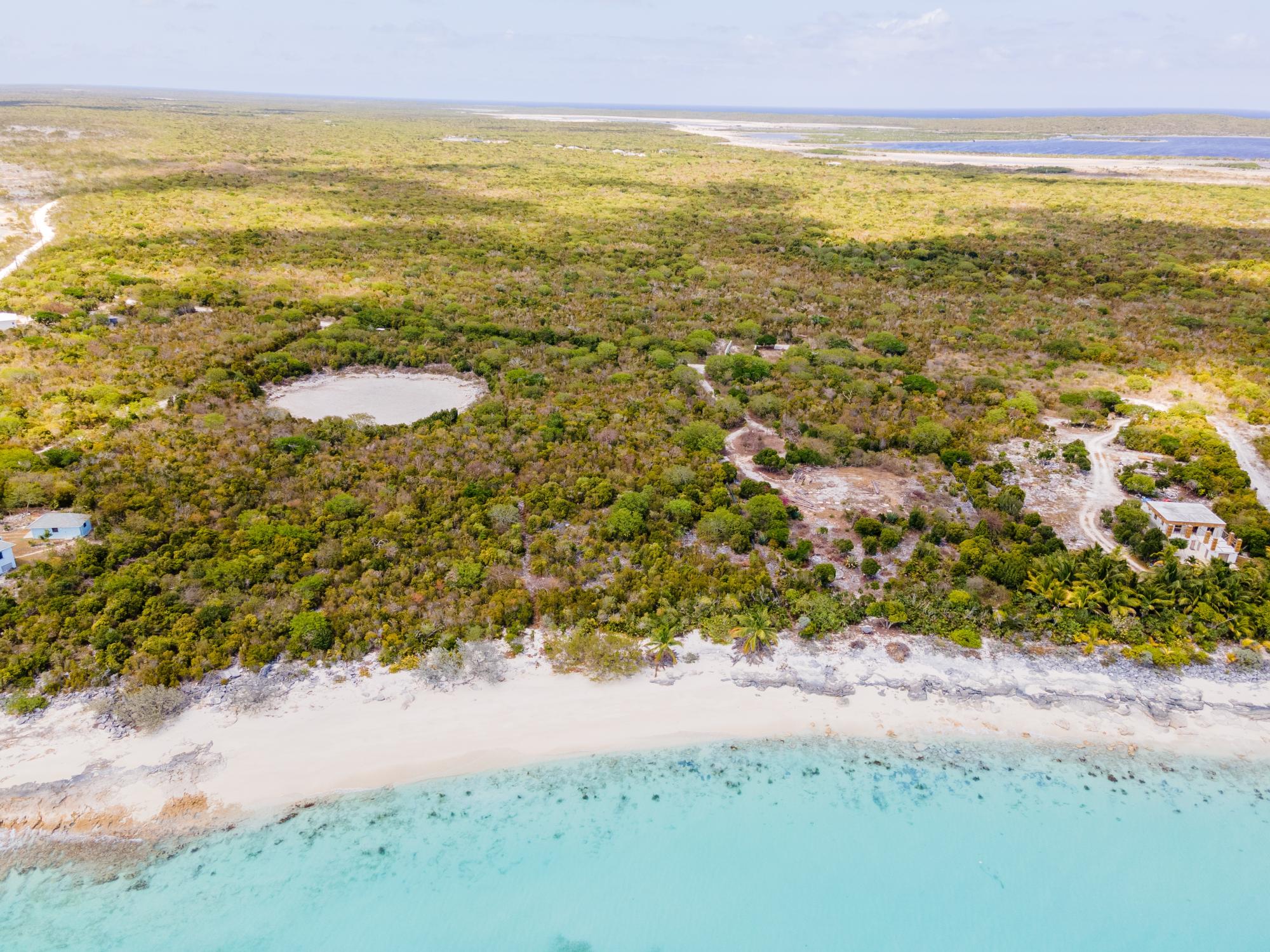 Cabbage Point