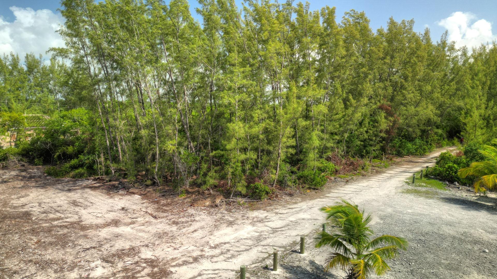 LOT 4 BAHAMA PALM SHORES