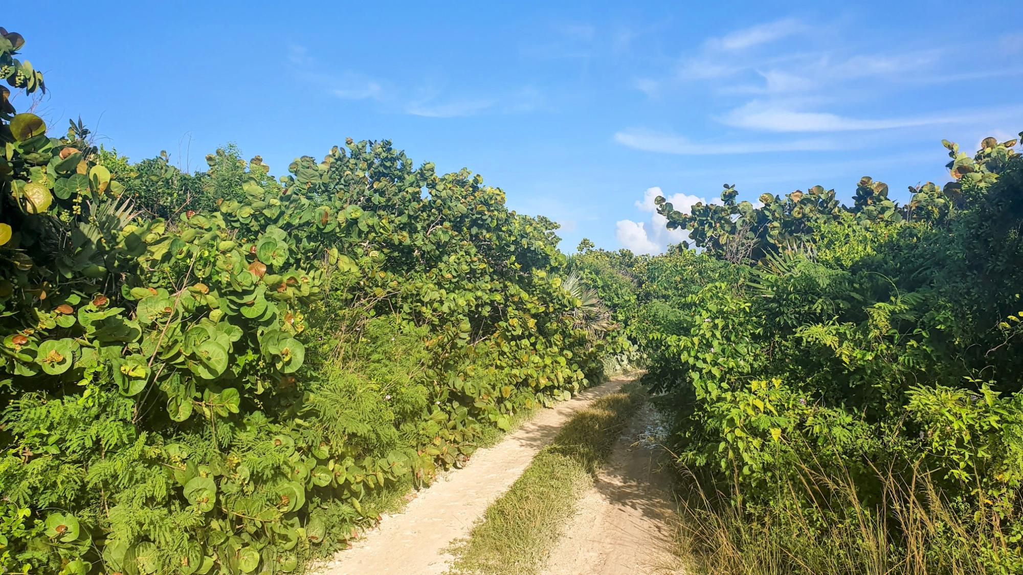 CANTALOUPE ROAD