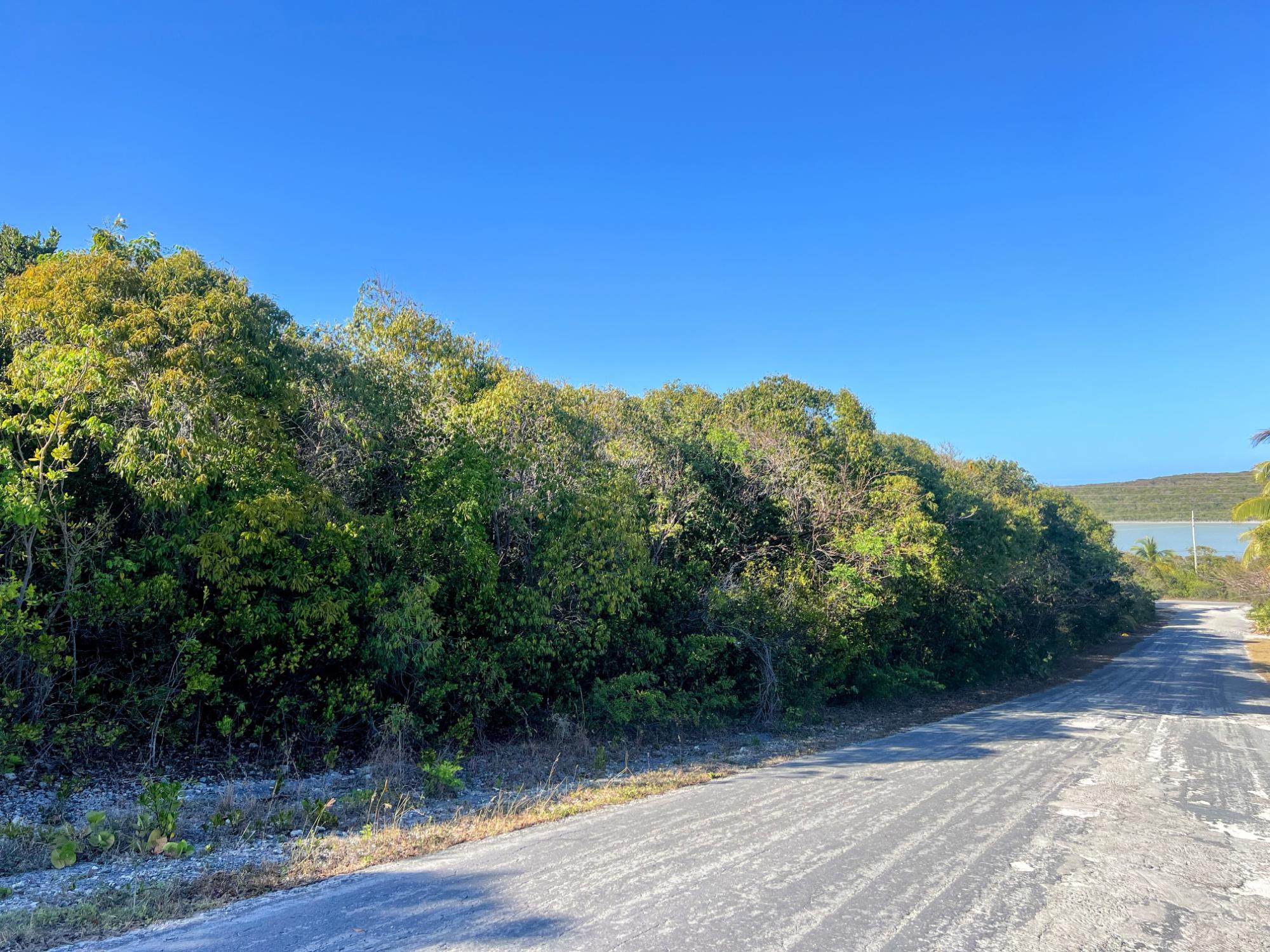 OLEANDER DRIVE