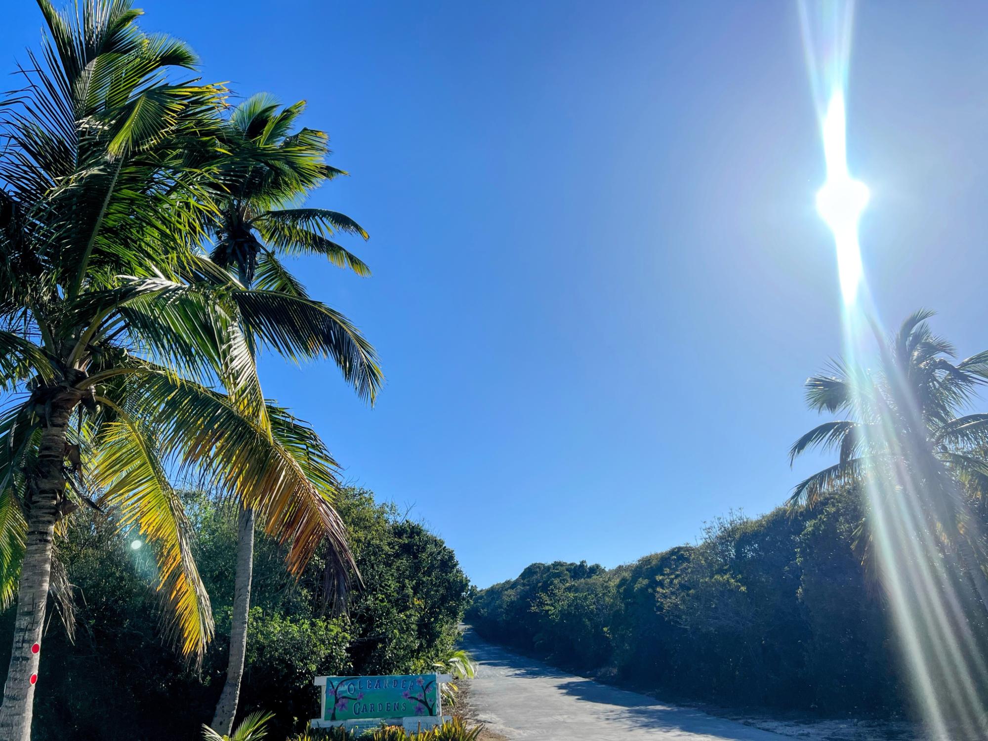OLEANDER DRIVE