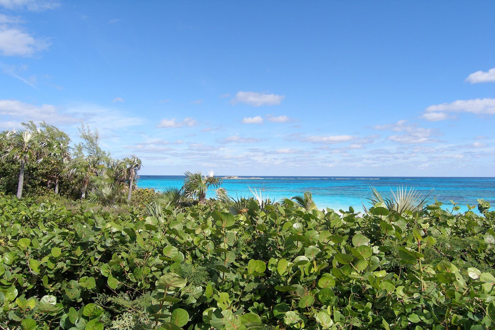 Plage Rose Lot