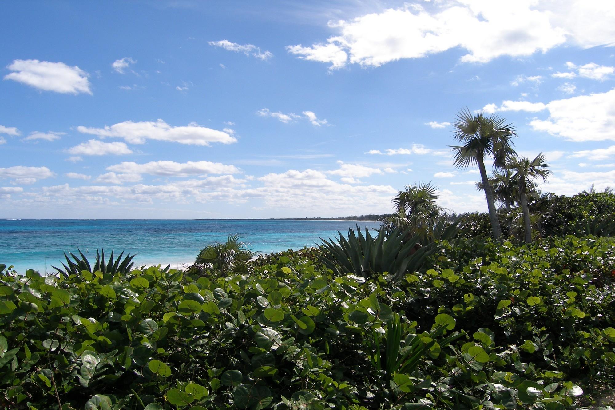 Plage Rose Lot