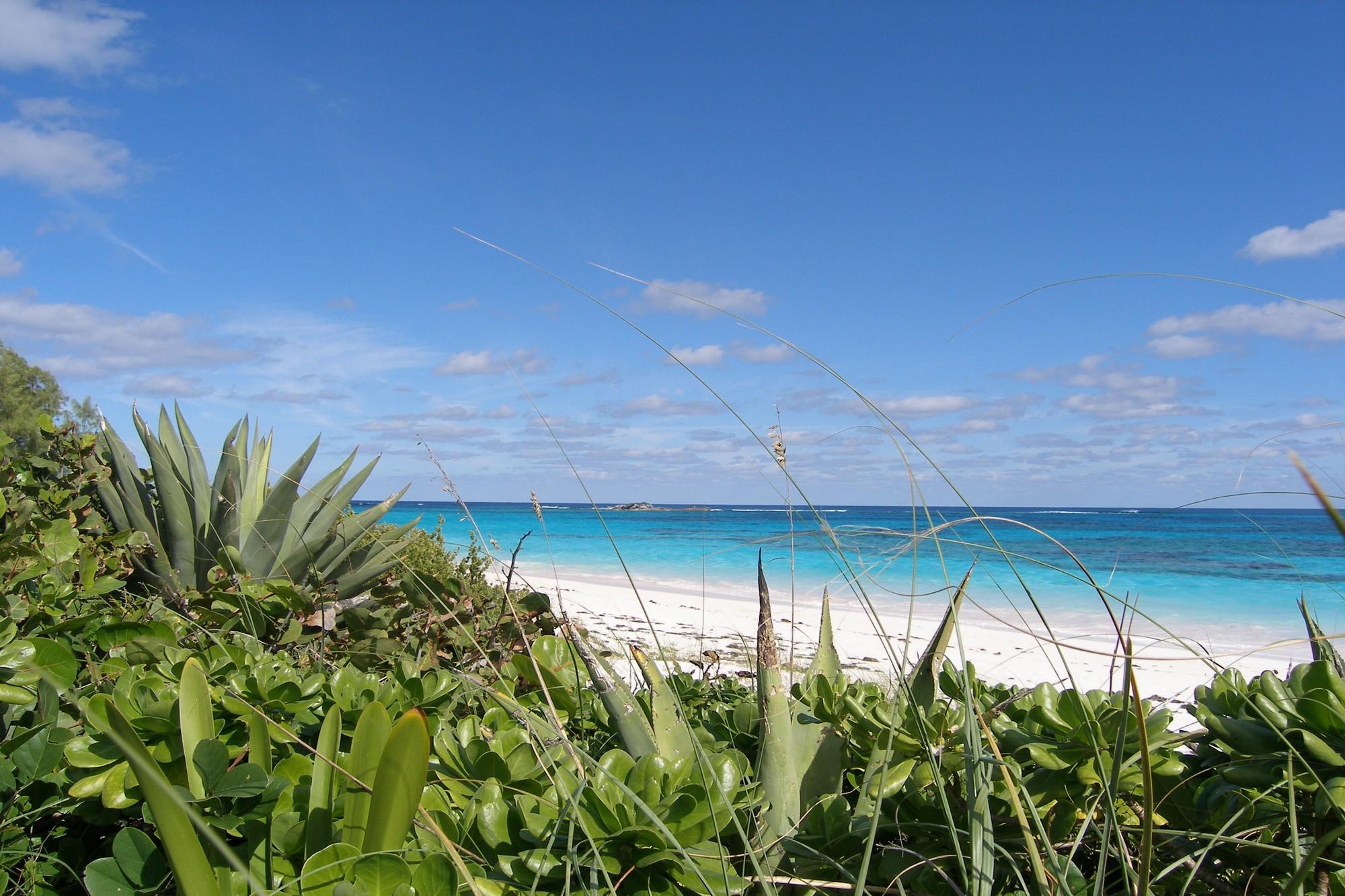 Plage Rose Lot