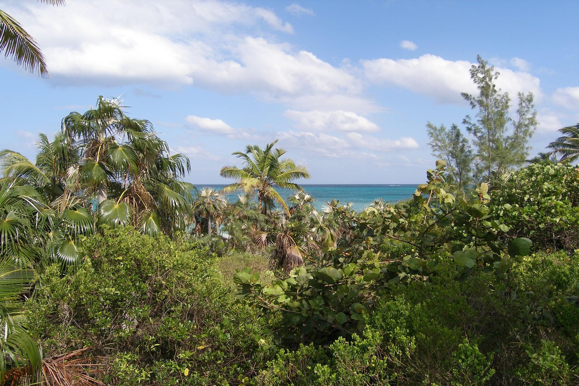 Plage Rose Lot
