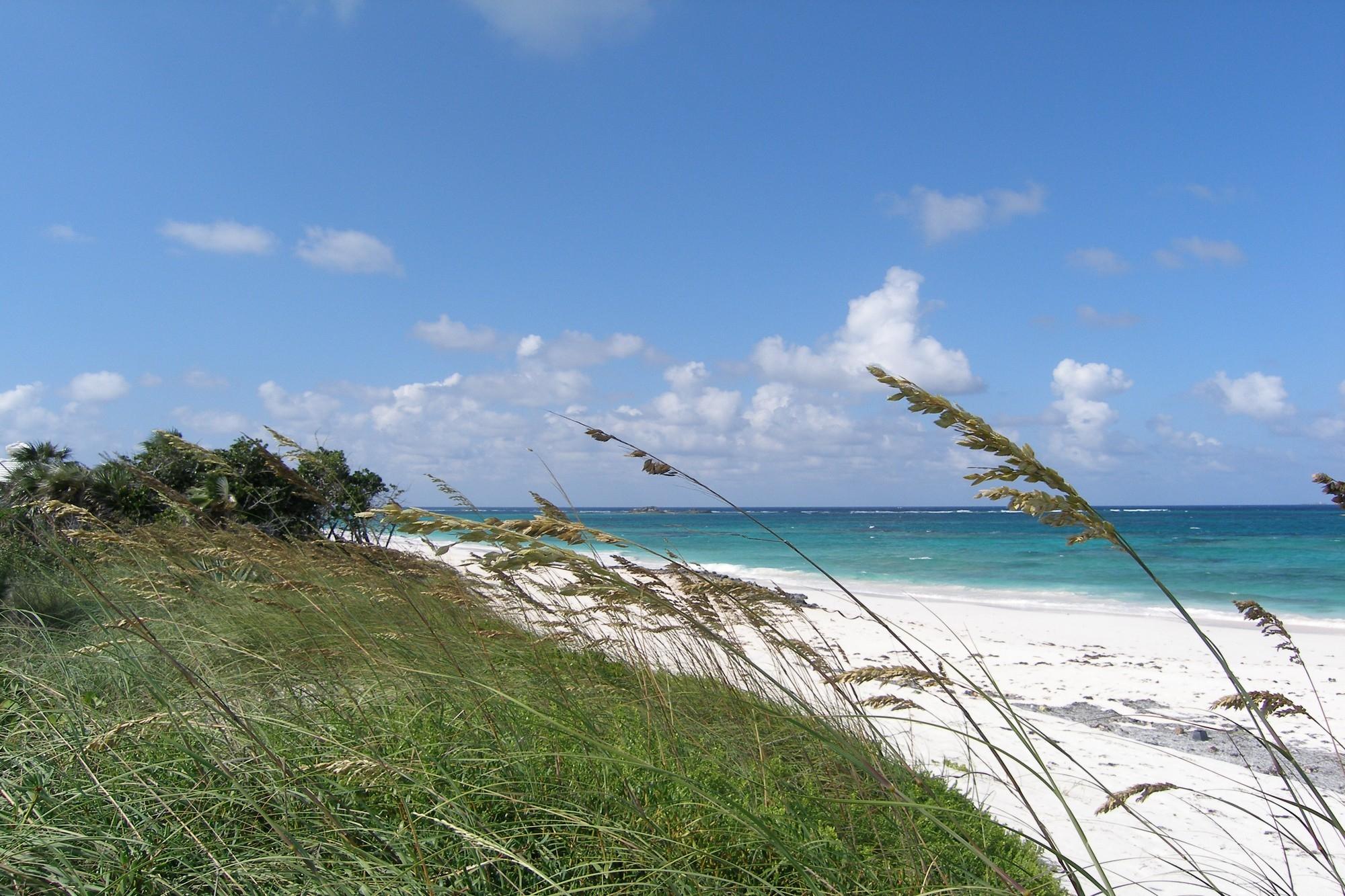 Plage Rose Lot