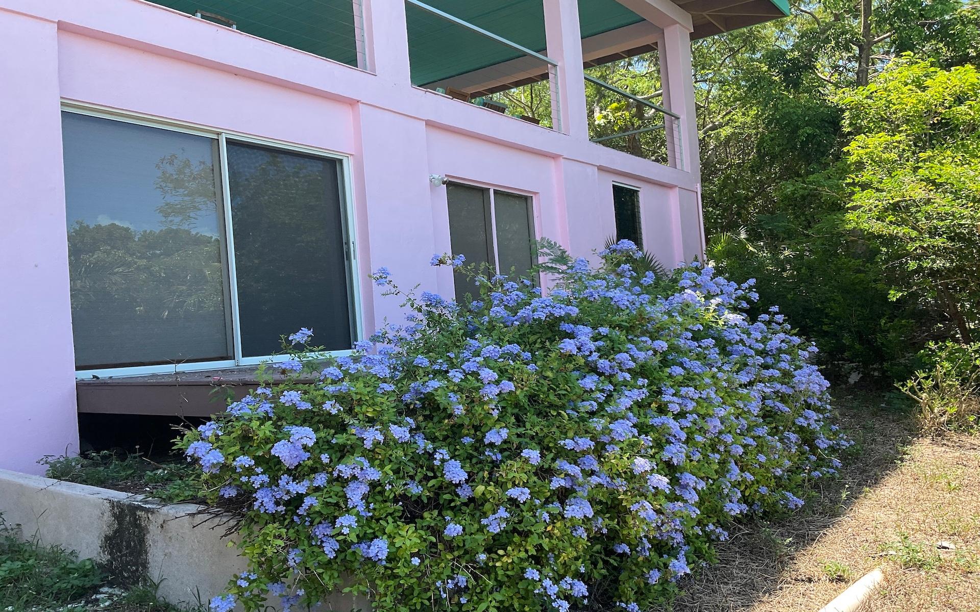 ESTATE IN BAIN’S BLUFF