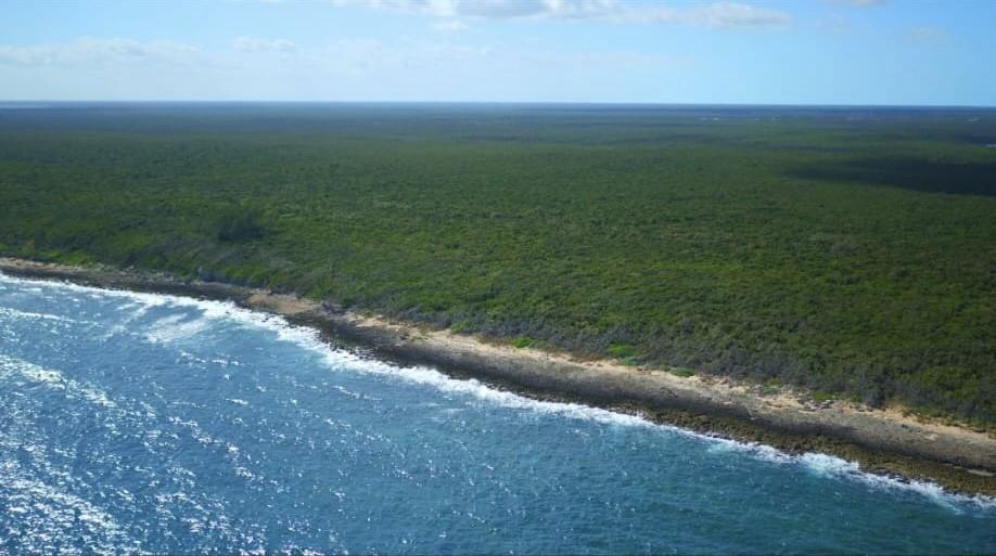 Andros Rocky Beach
