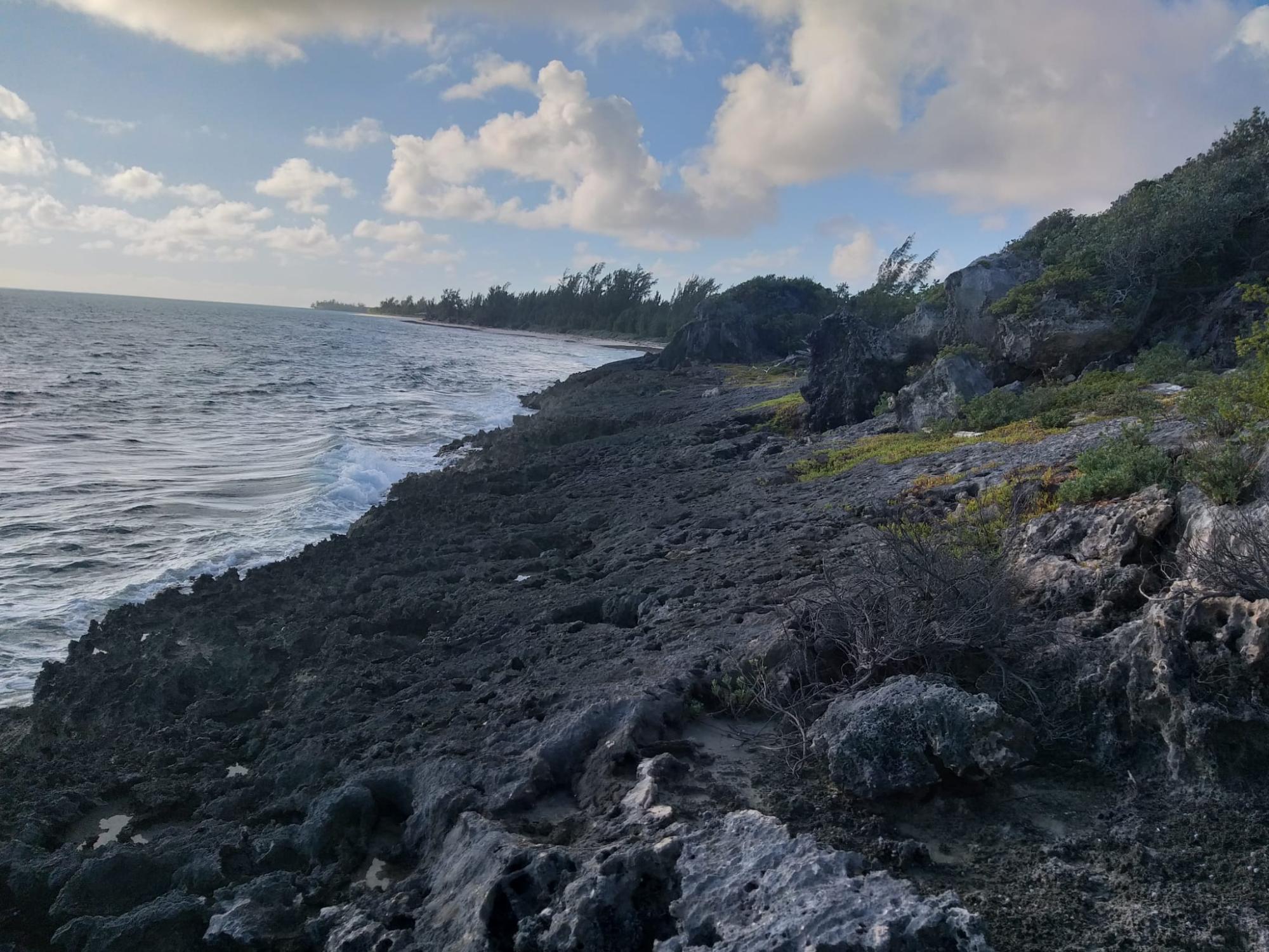 Andros Rocky Beach