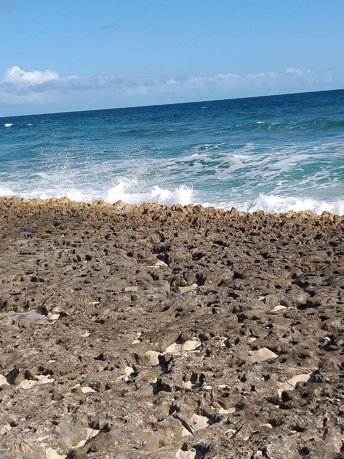 Andros Rocky Beach