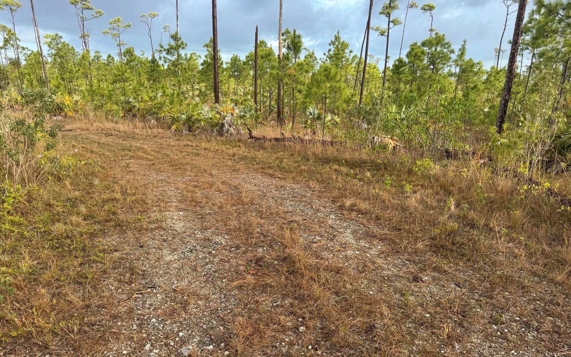 CHESAPEAKE LOT 24
