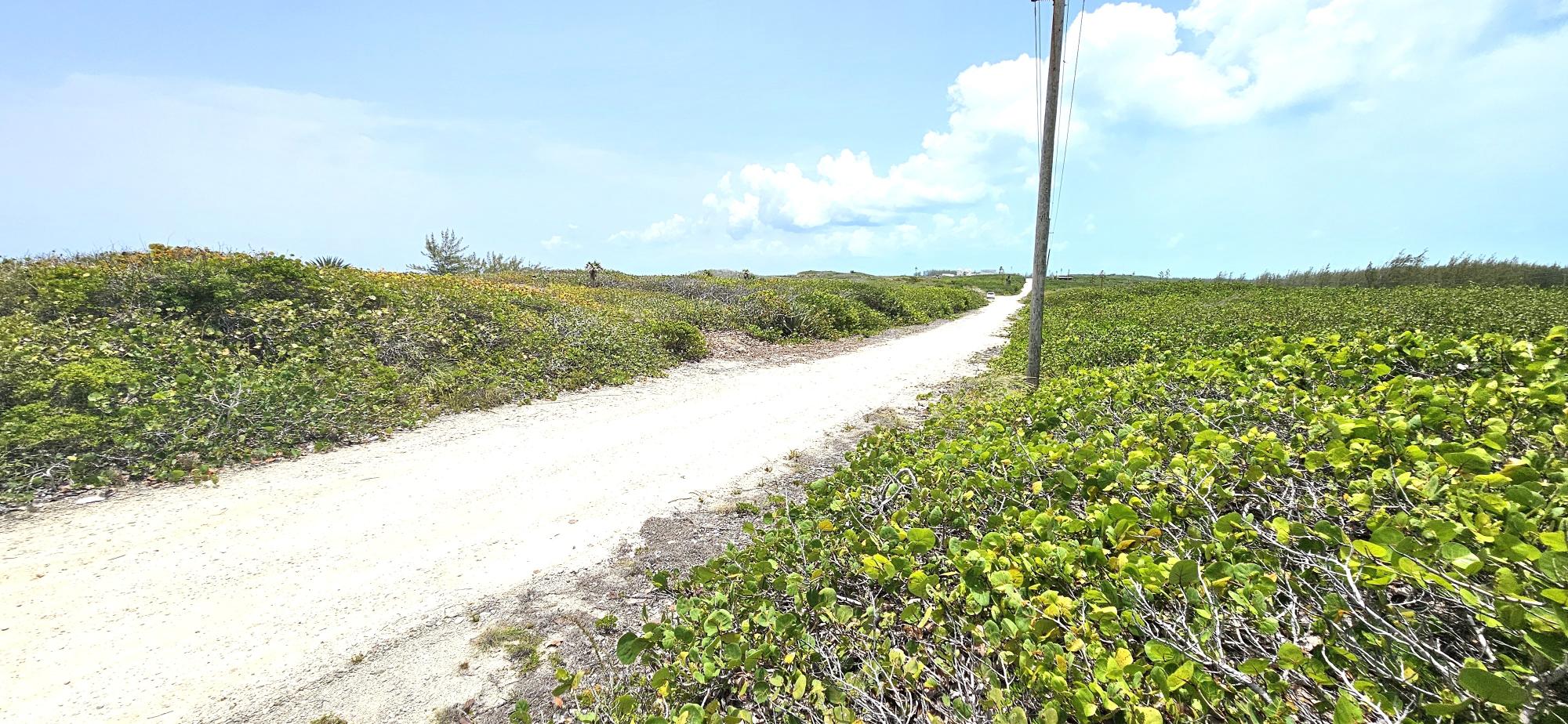 Whale Point Estates