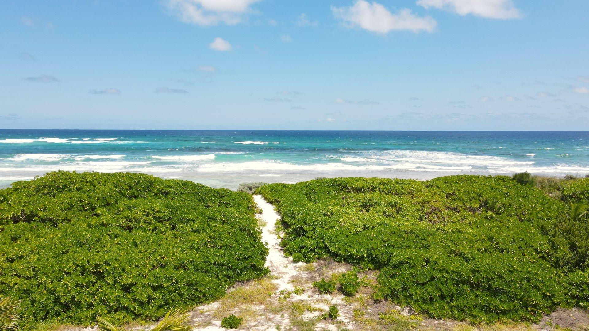 ROOSTER BEACH WHITE SOUND
