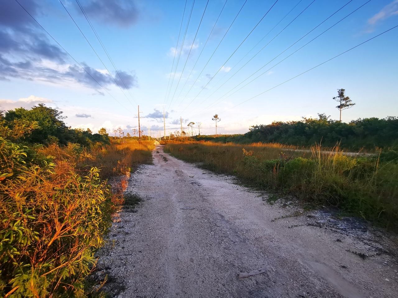 9 ACRE LOT OFF CARMICHAEL RD