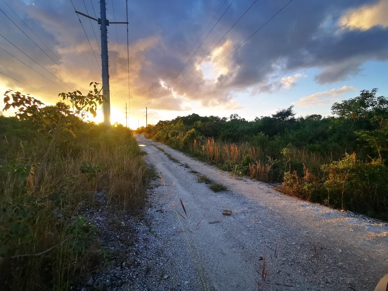 9 ACRE LOT OFF CARMICHAEL RD