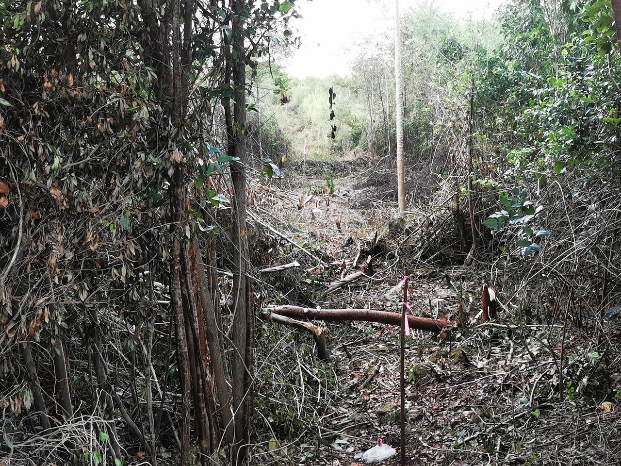 9 ACRE LOT OFF CARMICHAEL RD