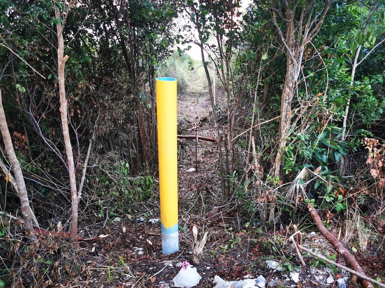 9 ACRE LOT OFF CARMICHAEL RD
