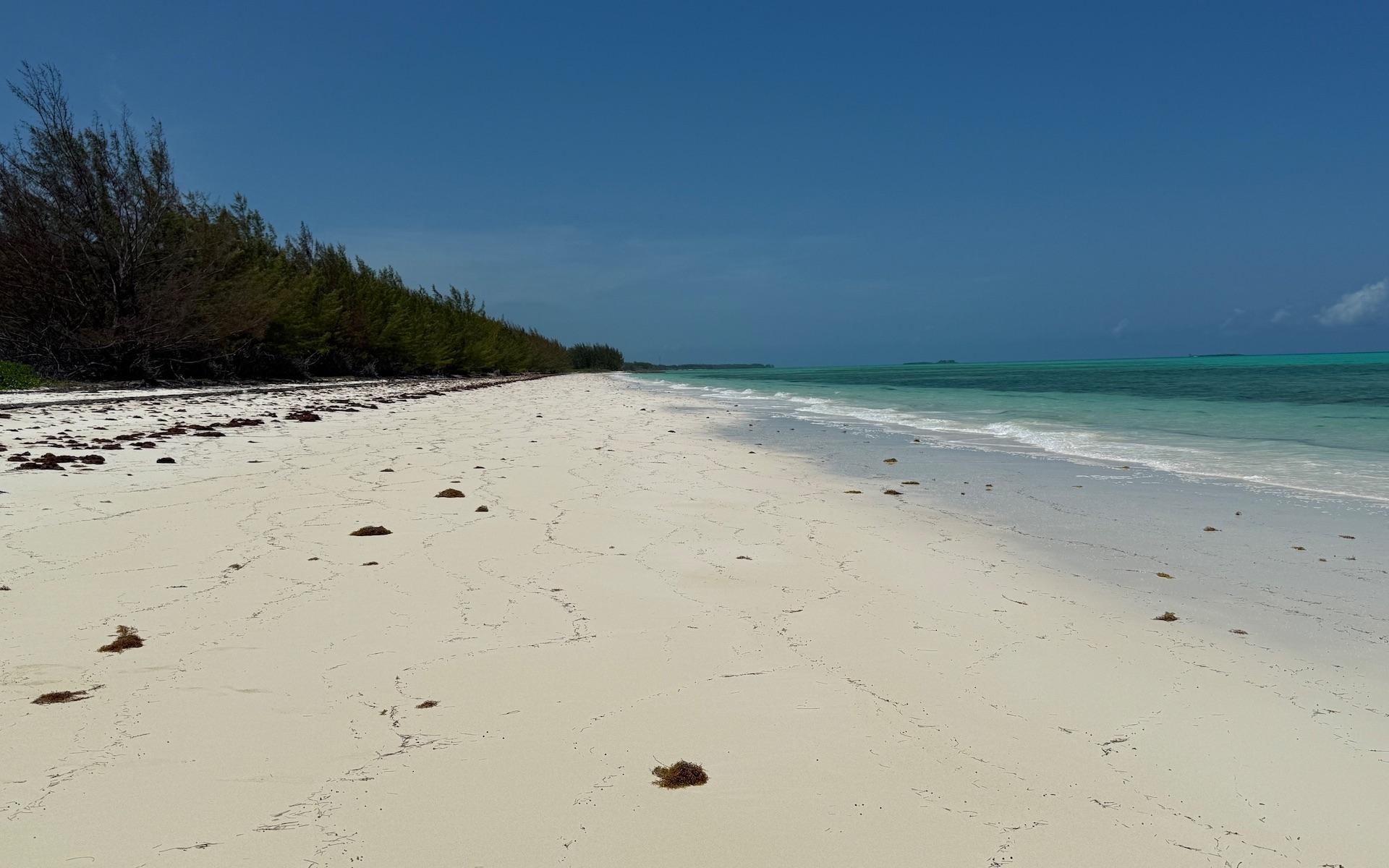 KEMPS BAY BEACHFRONT