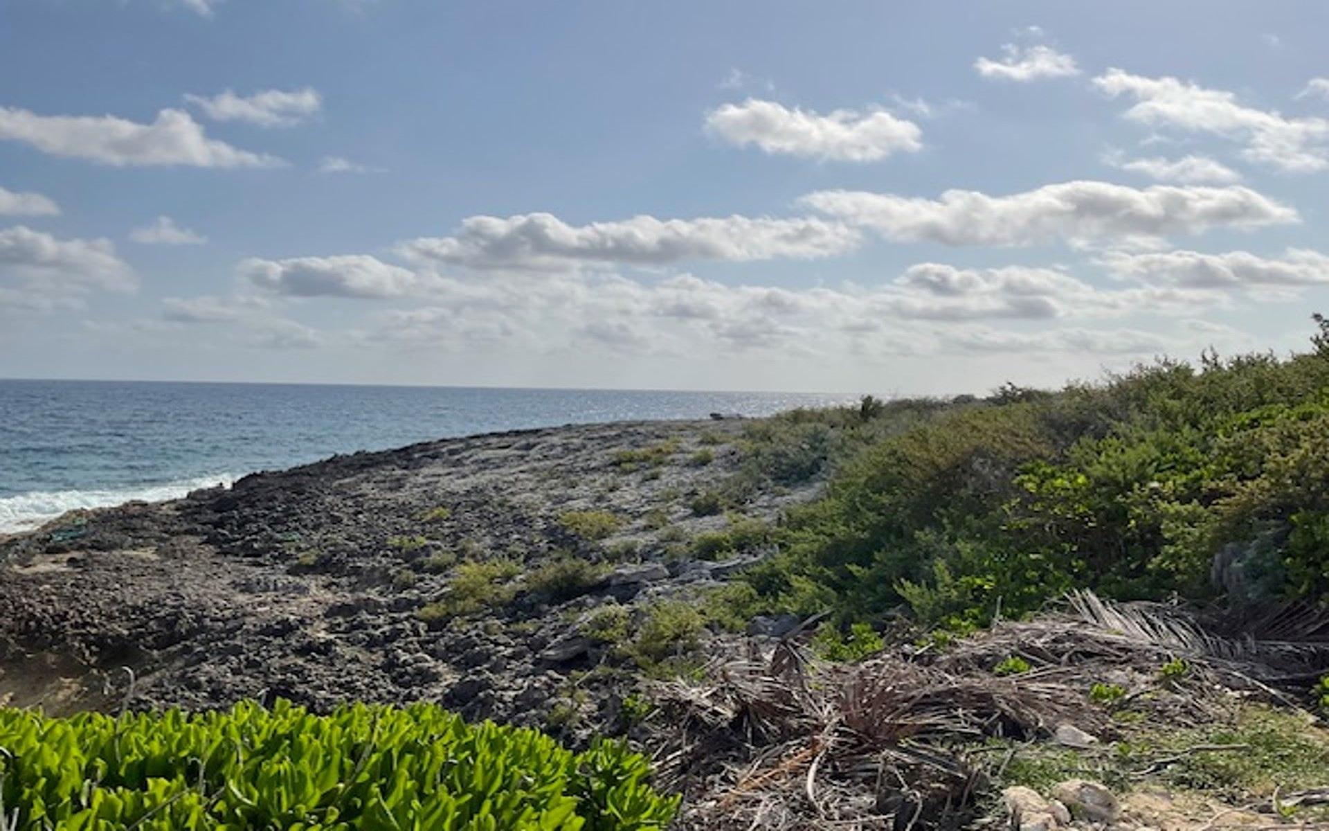 HAMILTON’S WATERFRONT LOT