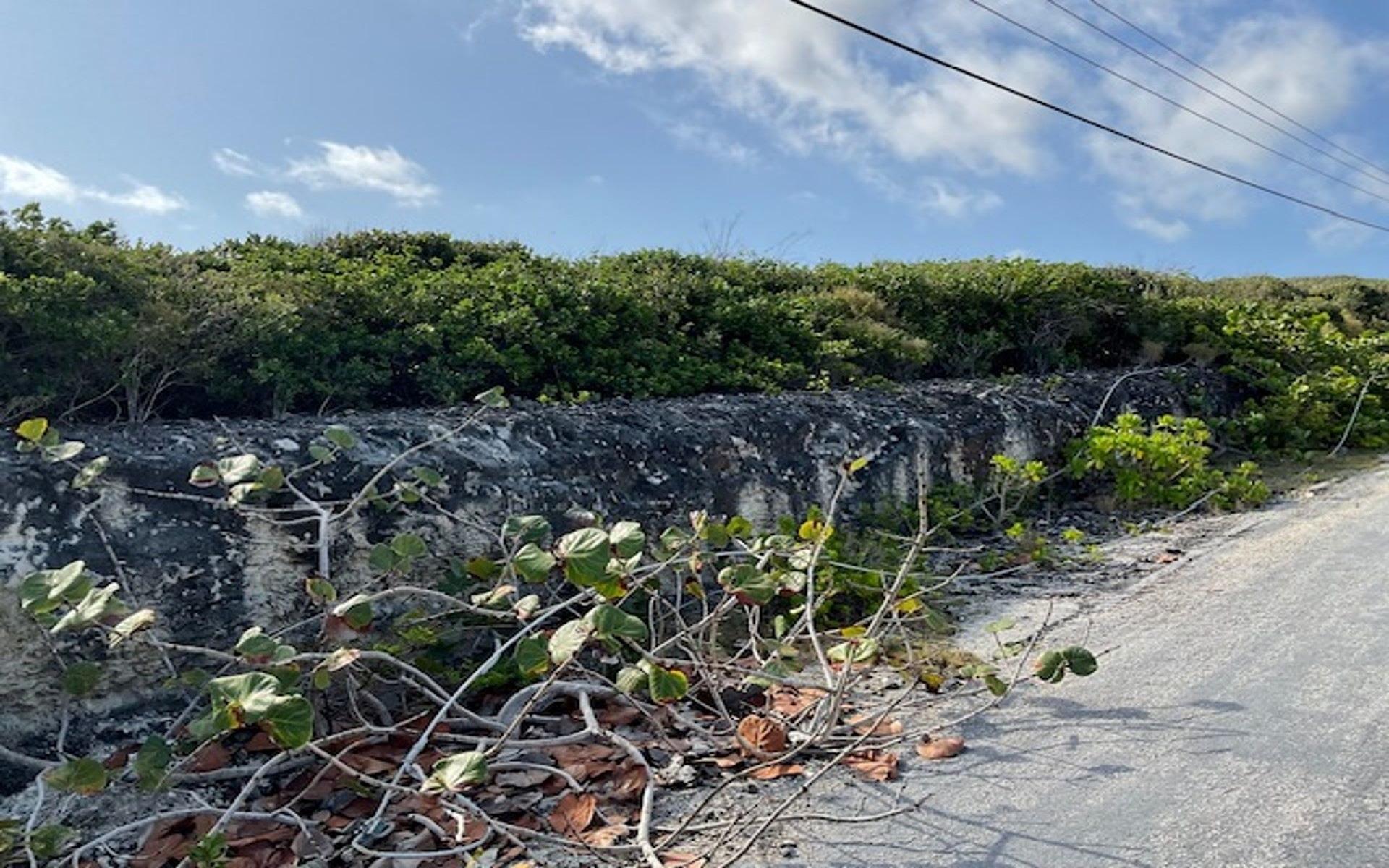 HAMILTON’S WATERFRONT LOT