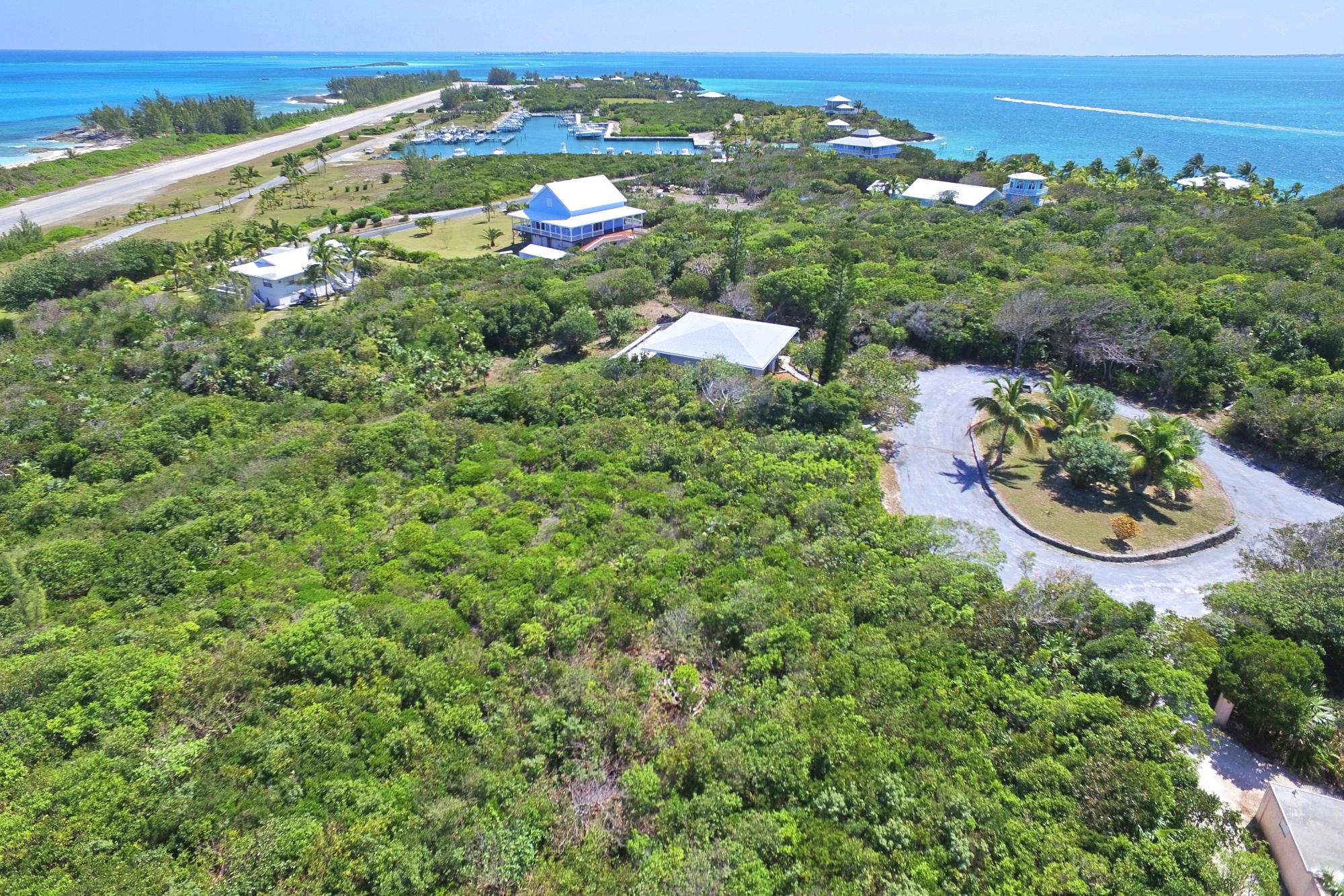ABACO HORIZON