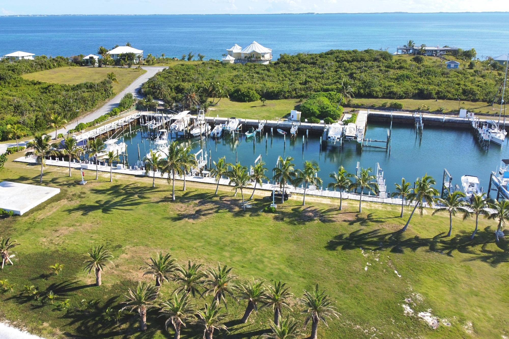 ABACO HORIZON