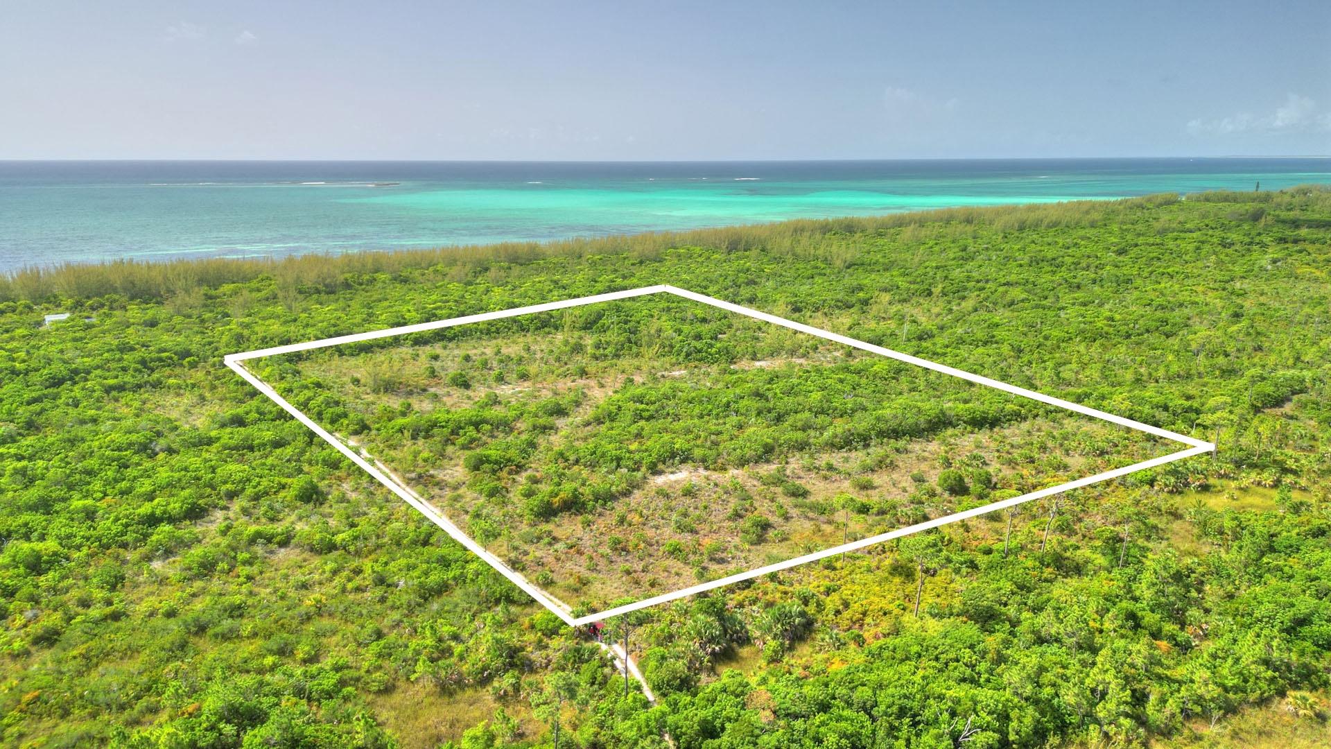 9 ACRES AT HIGH BANKS