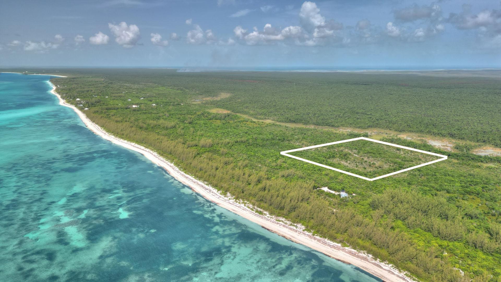 9 ACRES AT HIGH BANKS