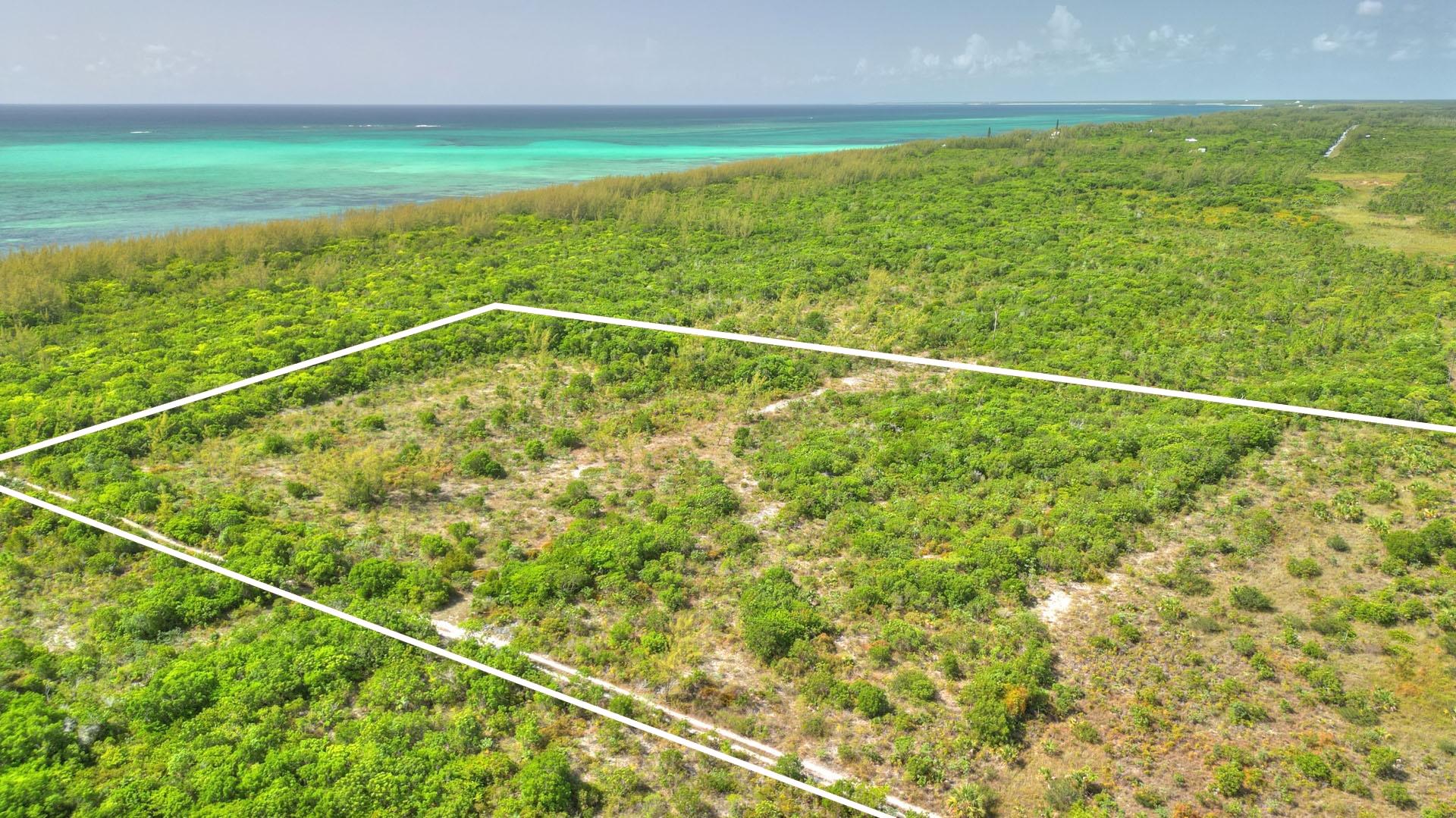 9 ACRES AT HIGH BANKS
