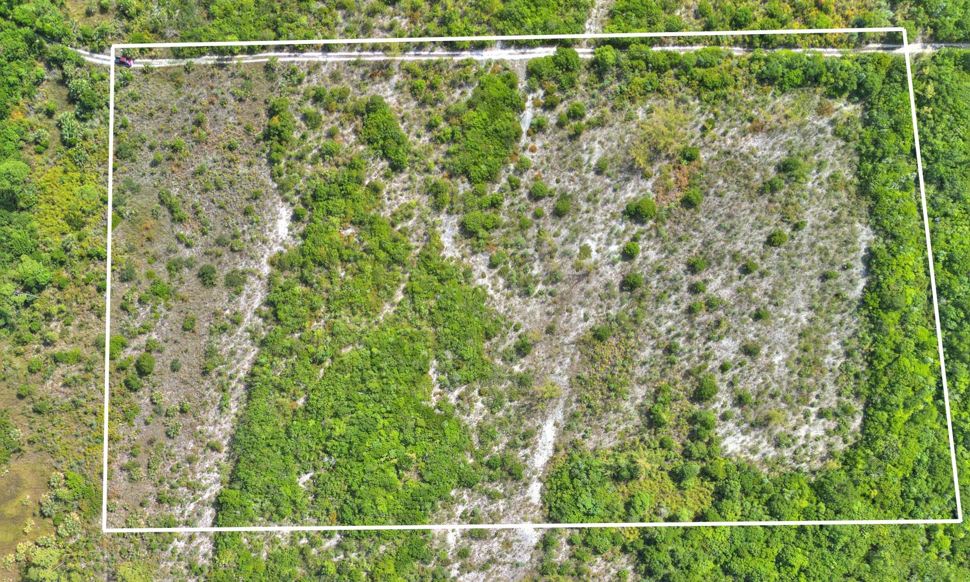 9 ACRES AT HIGH BANKS