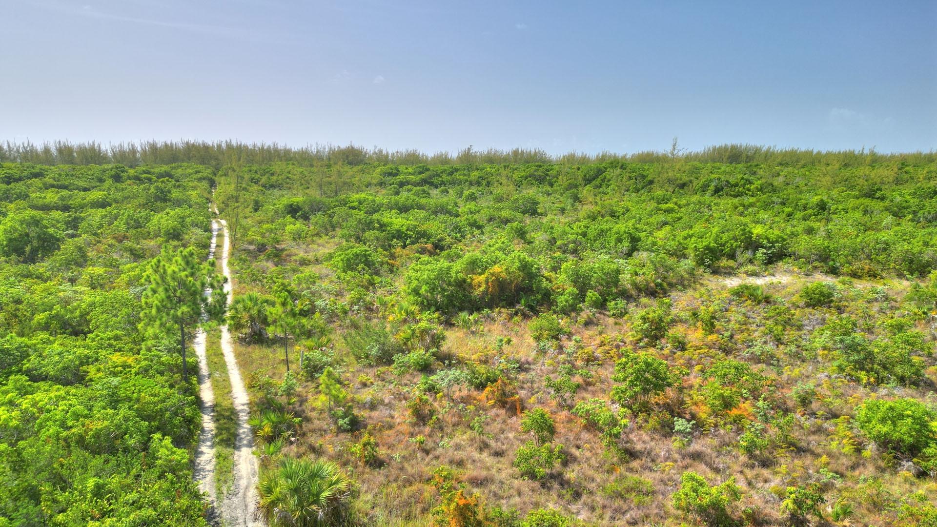 9 ACRES AT HIGH BANKS