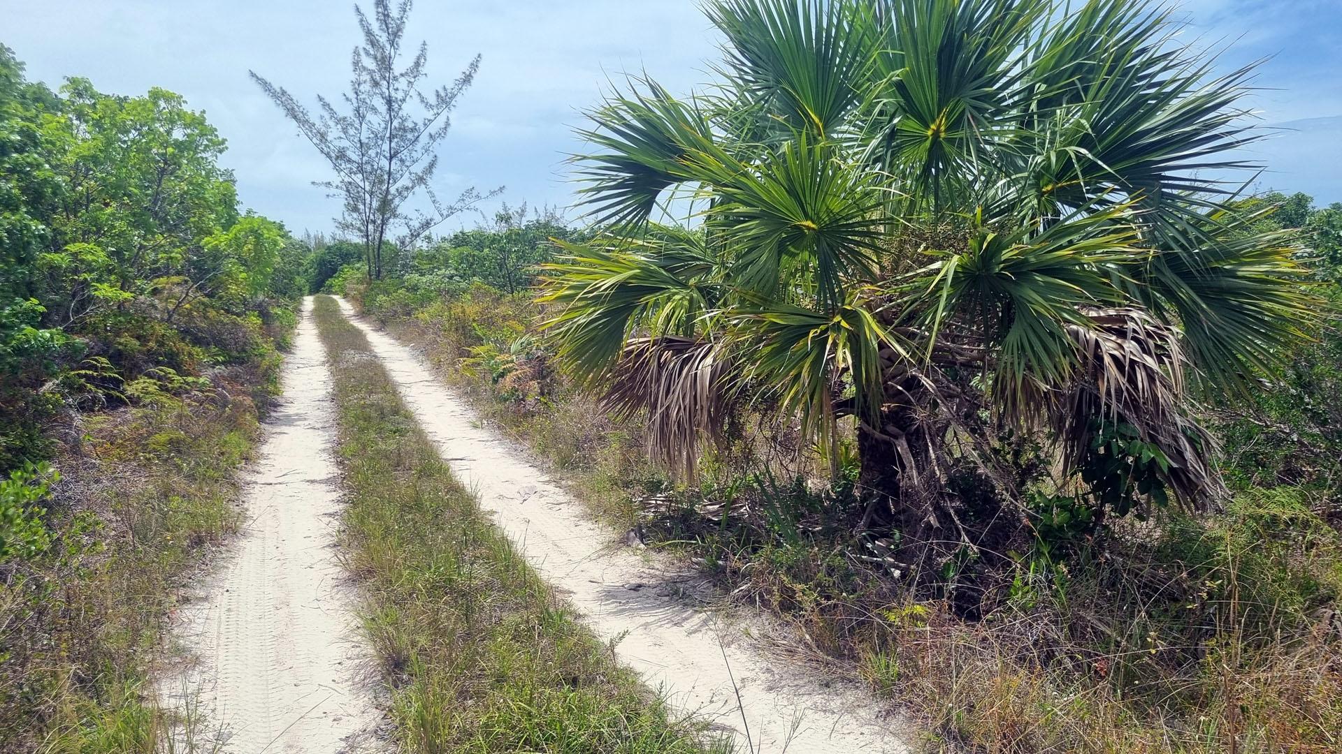 9 ACRES AT HIGH BANKS