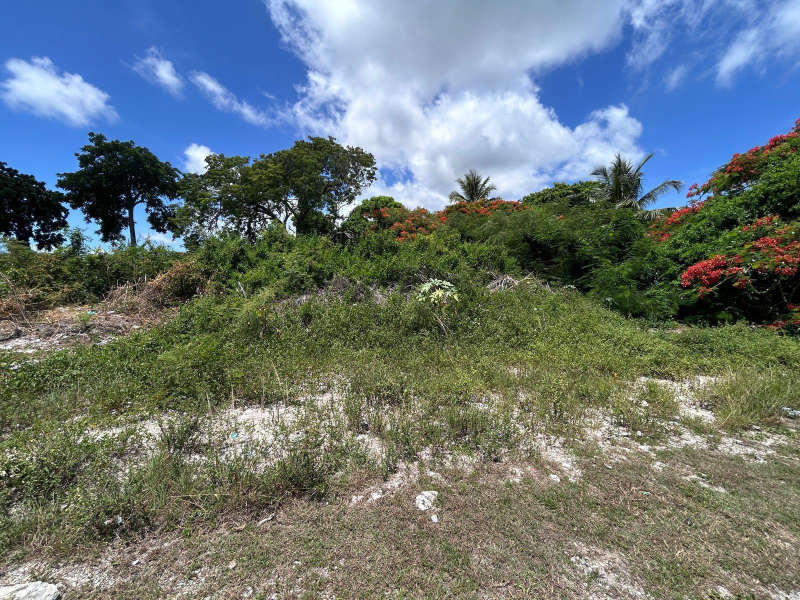 LOT #269, TULIP DRIVE
