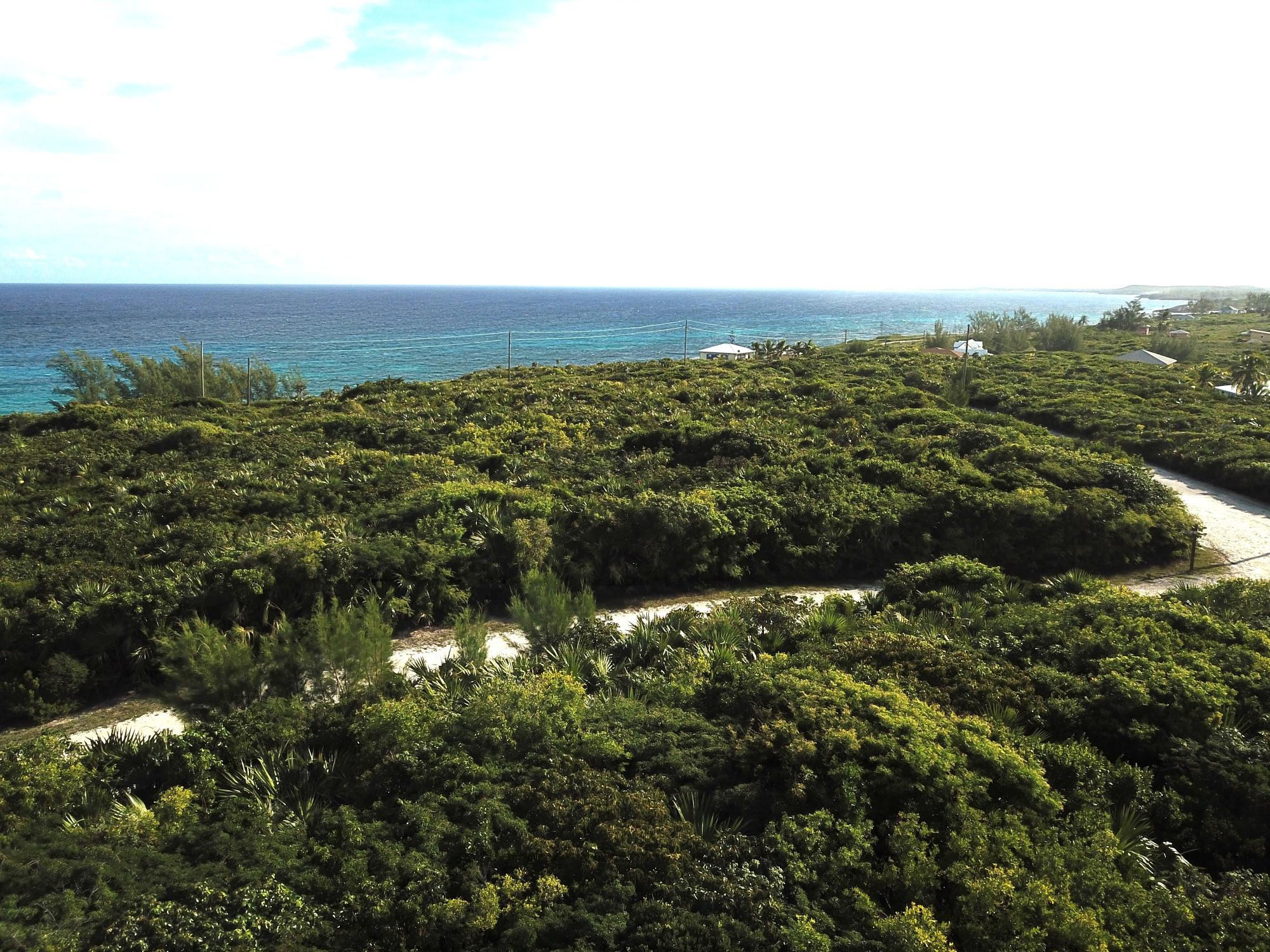 Hilltop Bliss