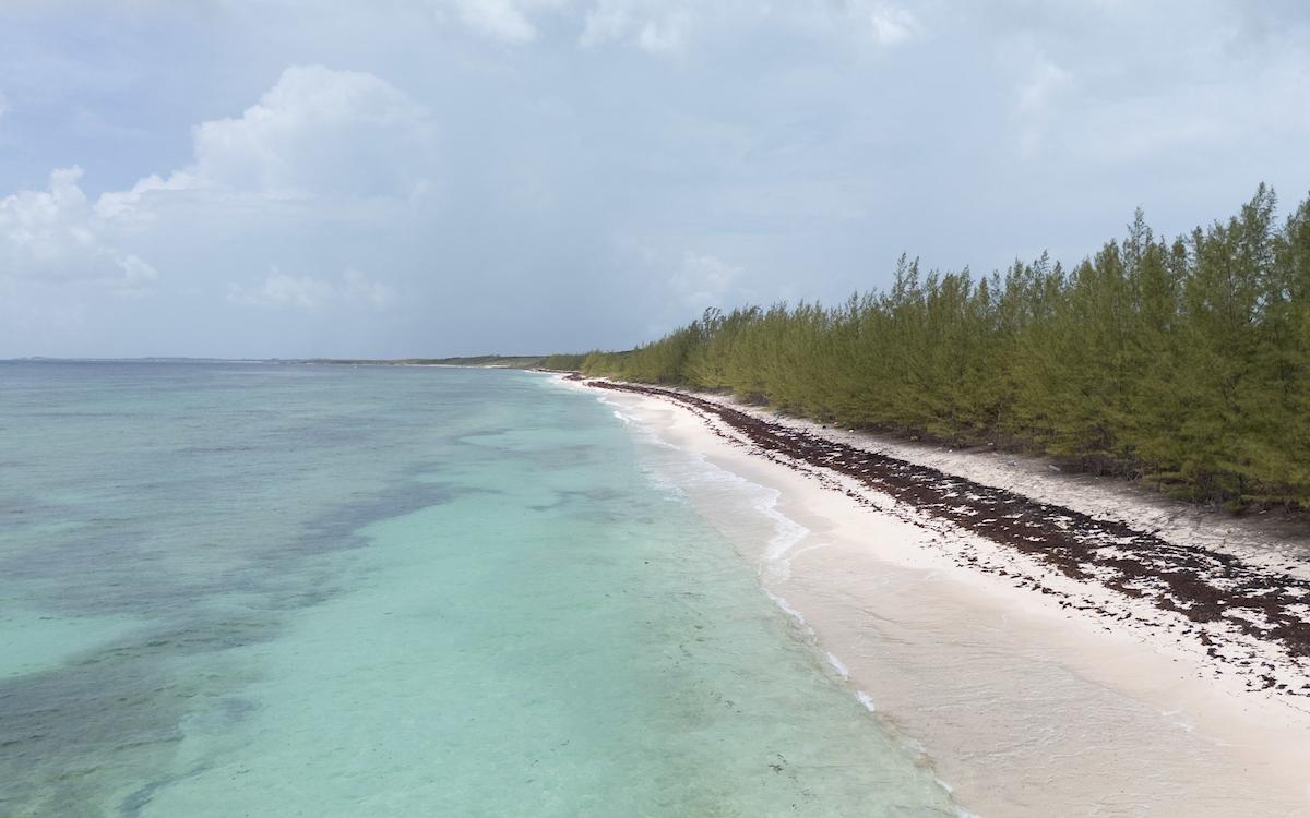 MISSION BAY, TARPUM BAY