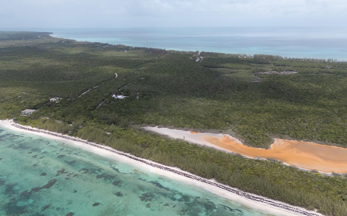 MISSION BAY, TARPUM BAY