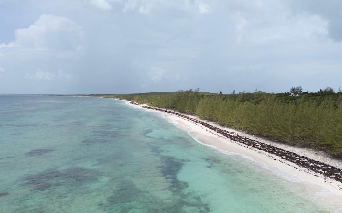 MISSION BAY, TARPUM BAY