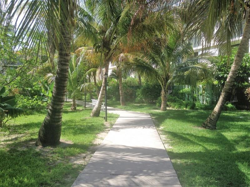 CORAL BEACH