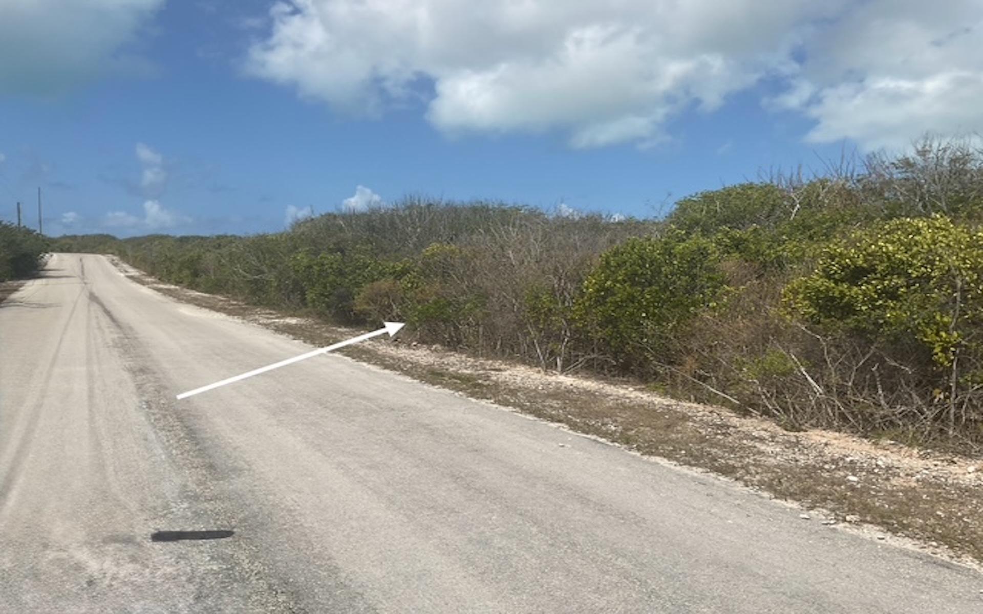 SCRUB HILL LOT