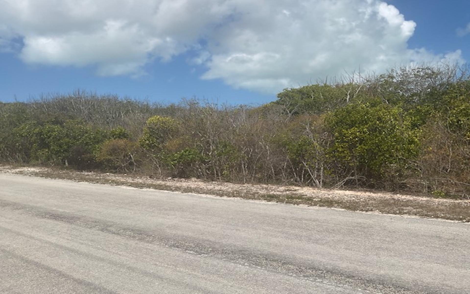 SCRUB HILL LOT