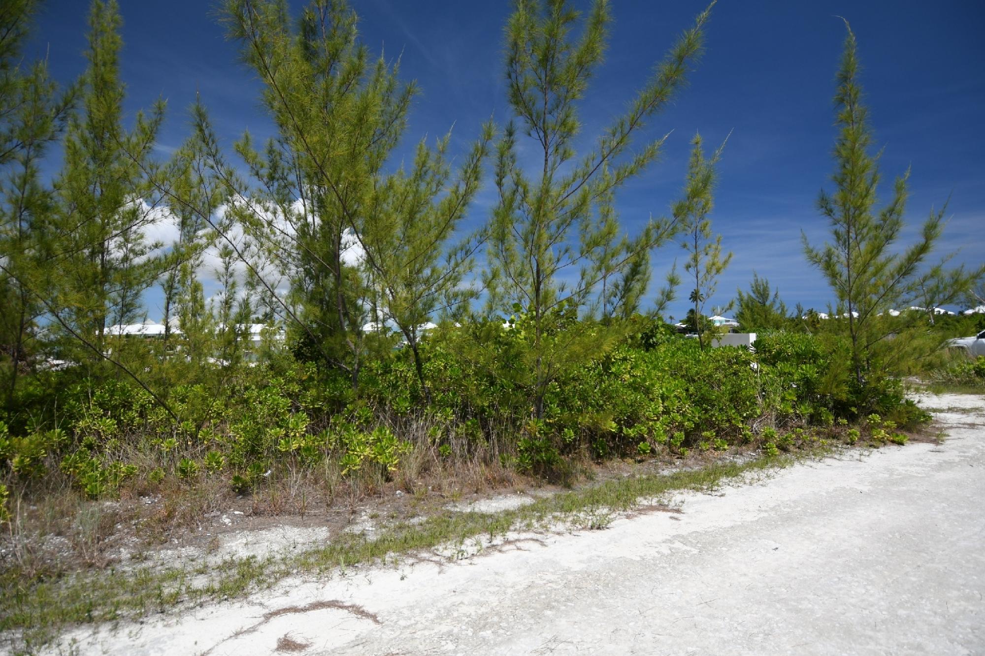 Canal Lot 12