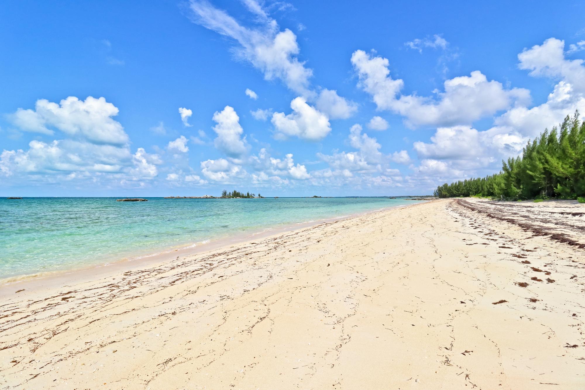 Beach Reach