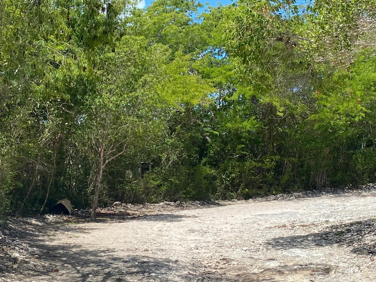 LOT 4985 DATE PALM ROAD