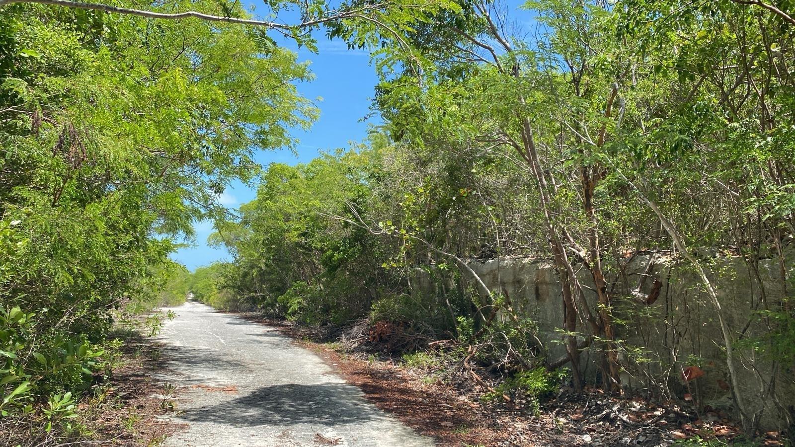LOT 4985 DATE PALM ROAD