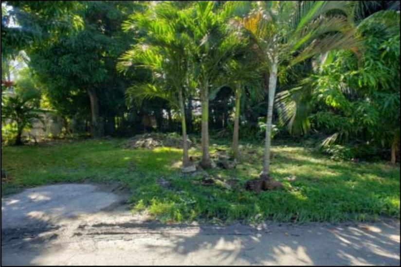 FAITH AVENUE