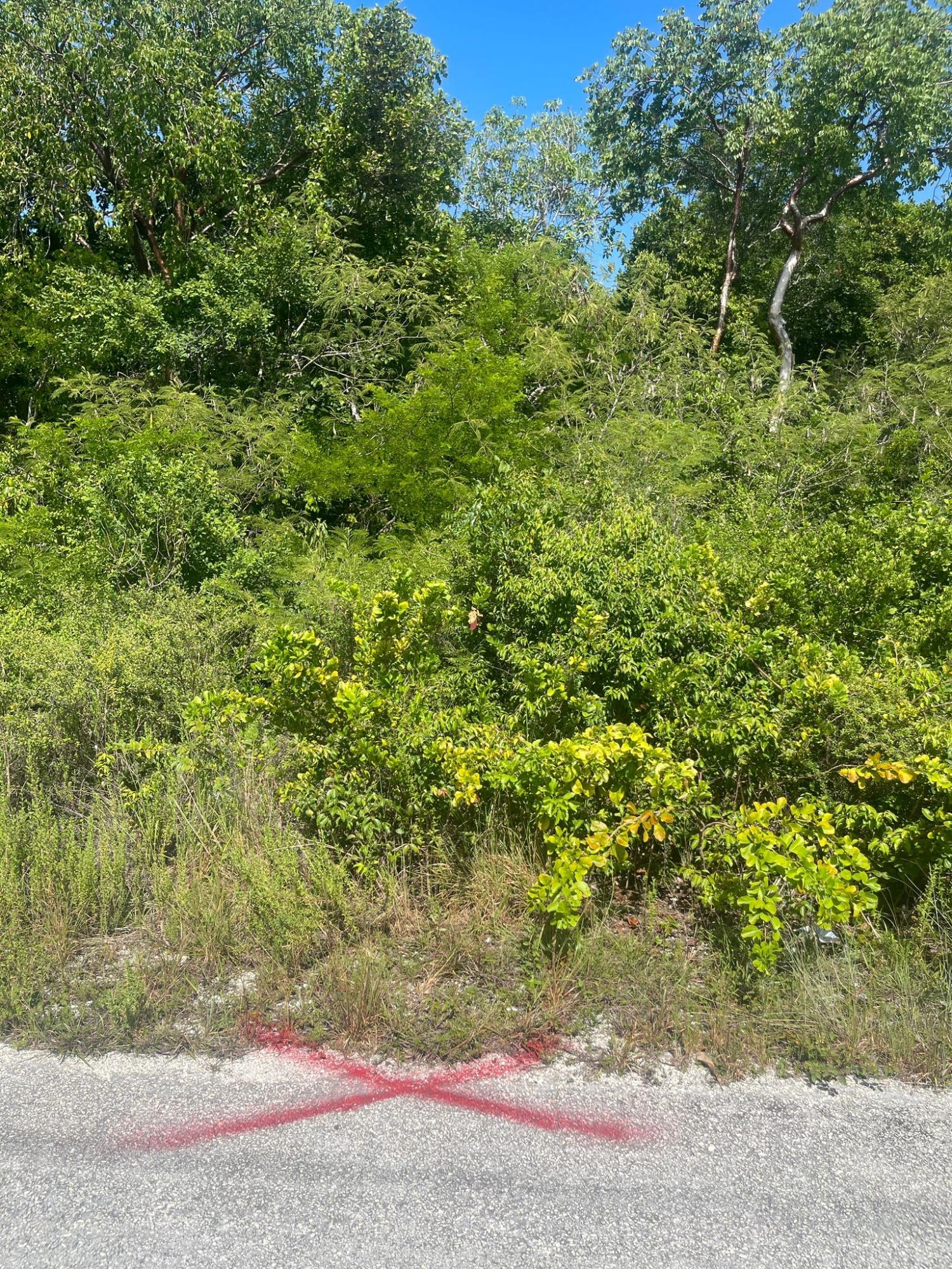 DRIGGS HILL