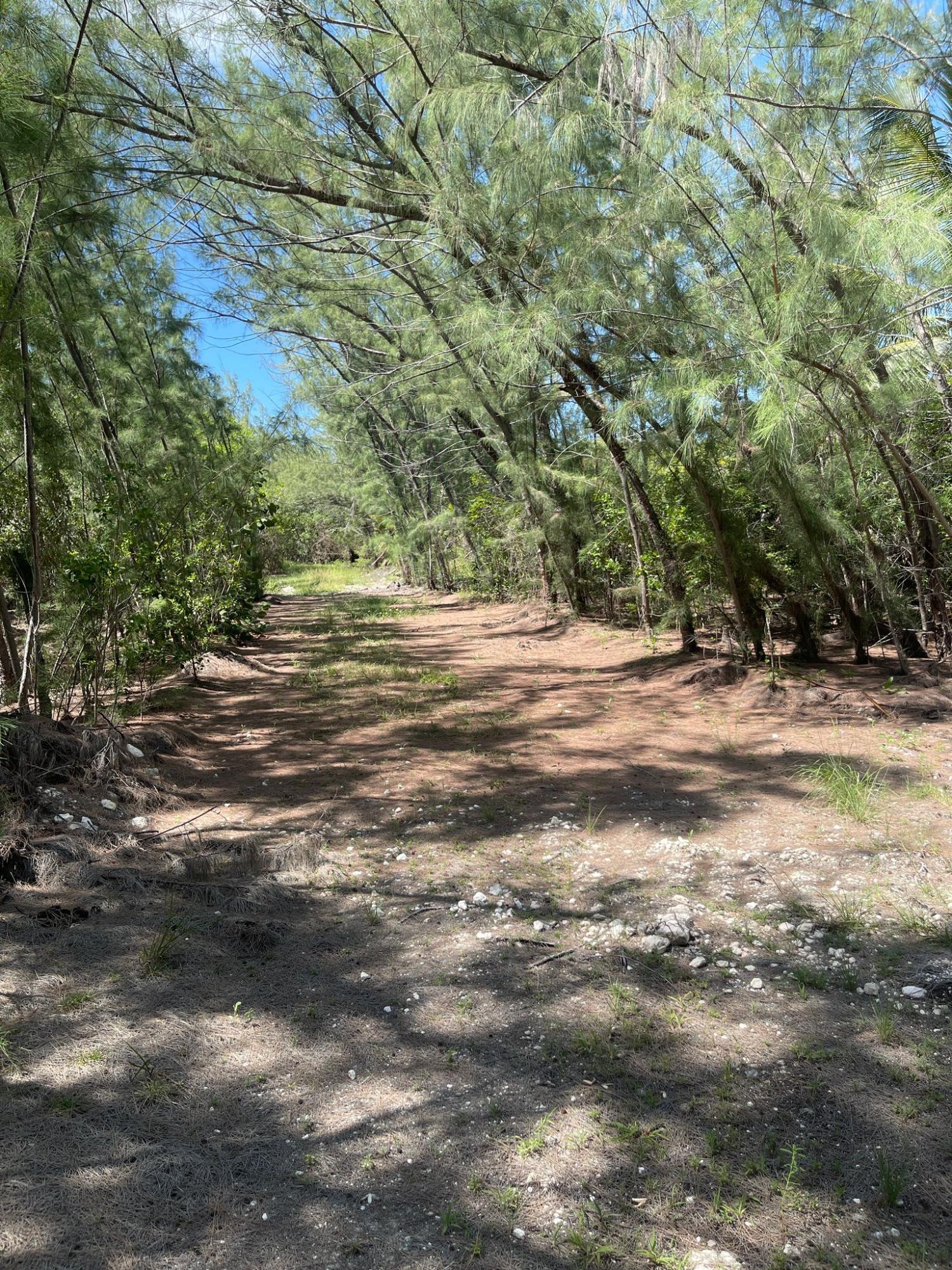 DRIGGS HILL