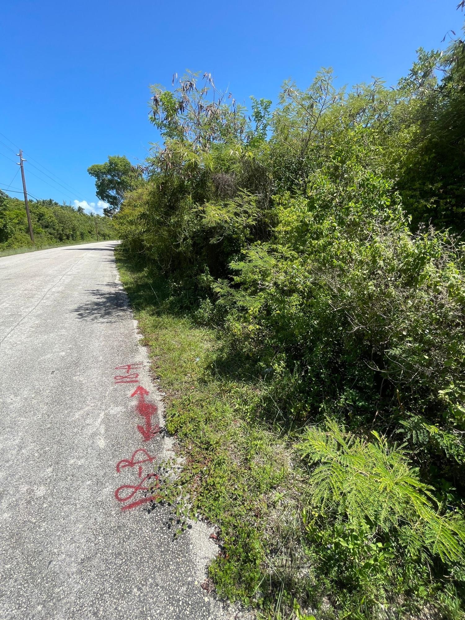 DRIGGS HILL