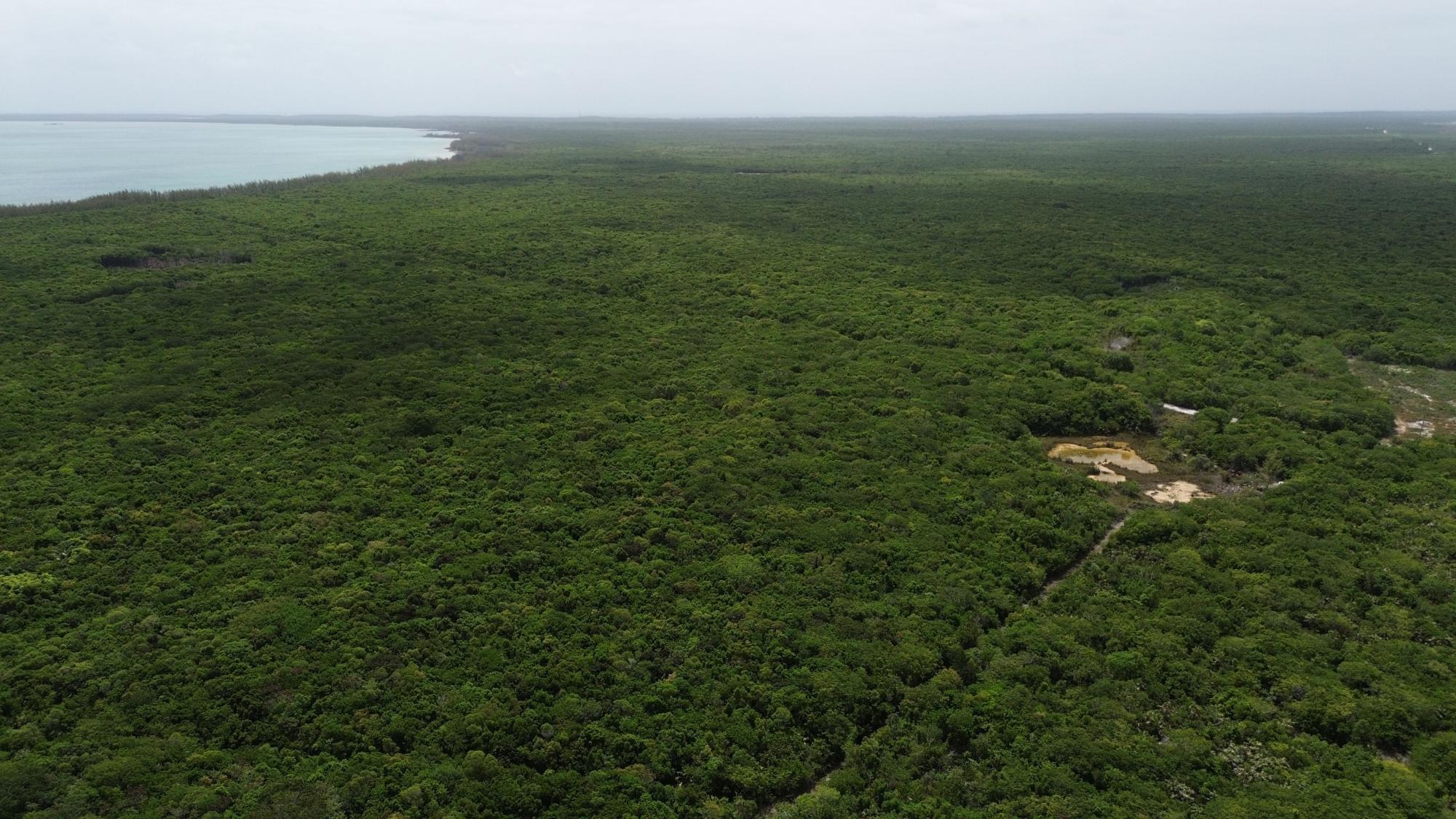 ELEUTHERA ACREAGE   87 AC