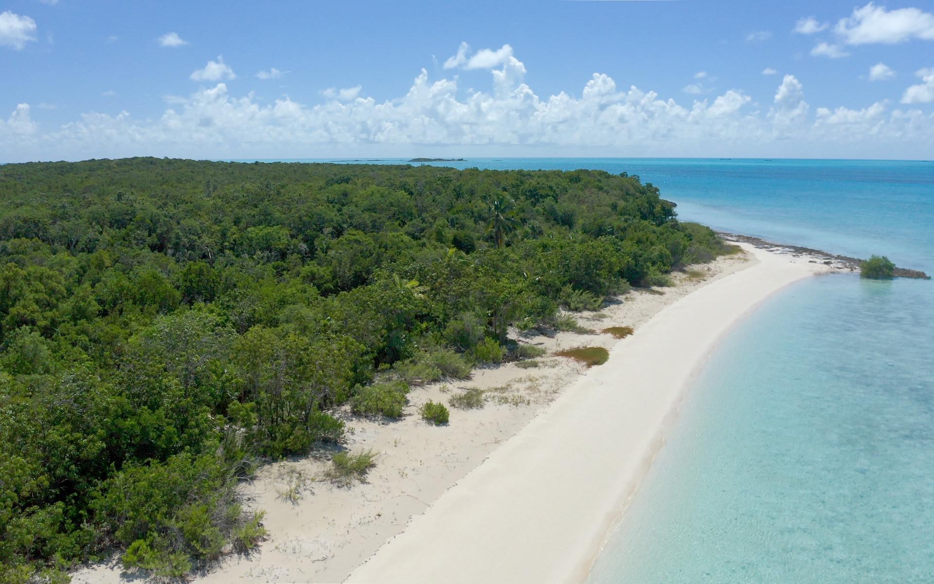 HUMMINGBIRD CAY